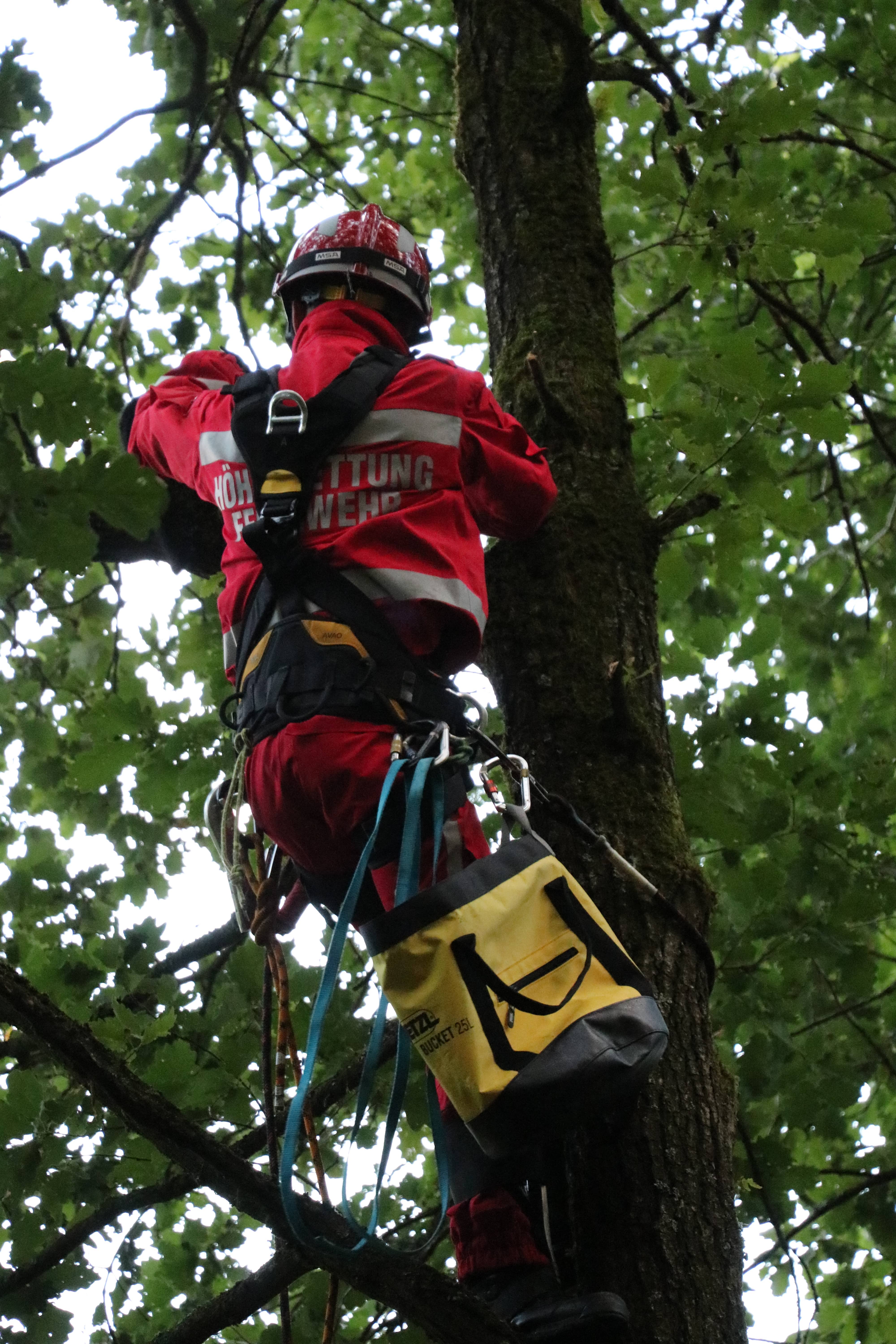 11.07.18 - Von der Übung zum Einsatz: Katze auf Baum