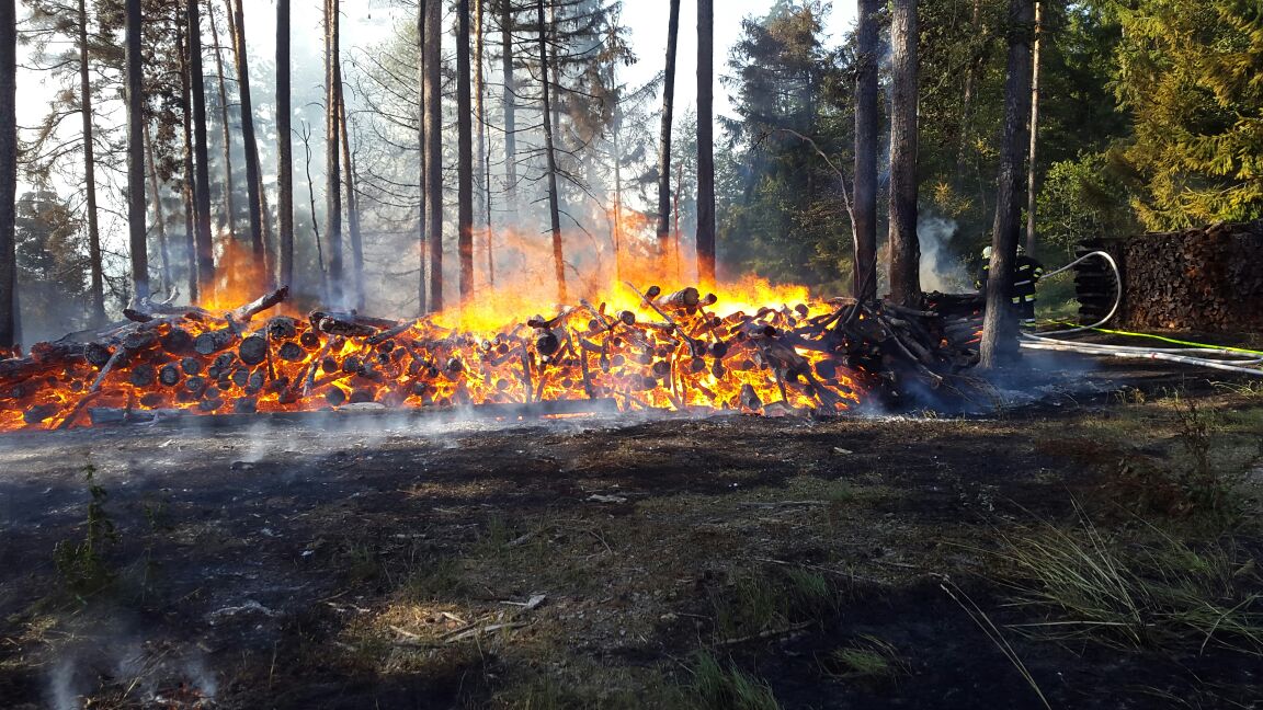 Feuerwehr Schweinbach bei Waldbrand in Unterweitersdorf im Einsatz