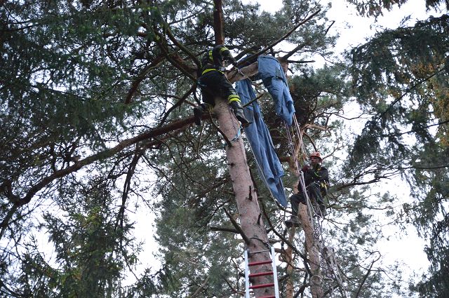 06.05.2015 - LuN Zugsübung - Paragleiter in Baumkrone